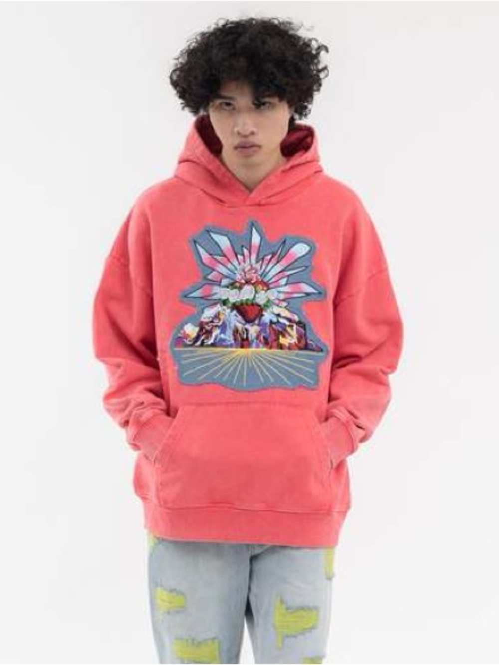 NWT RICHGAINER Patchwork Hoodie - Picture 10 of 16